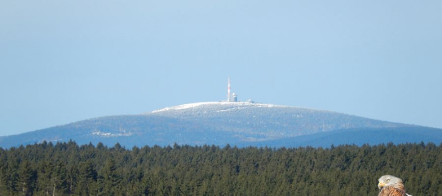 Der Brocken aus der Sicht aus Hasselfelde