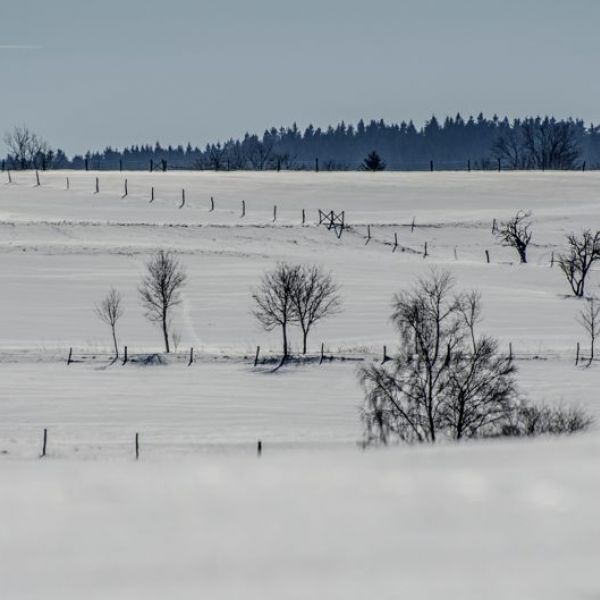 Winterwiesen im Harz